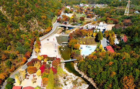 옥천 5경 장령산자연휴양림